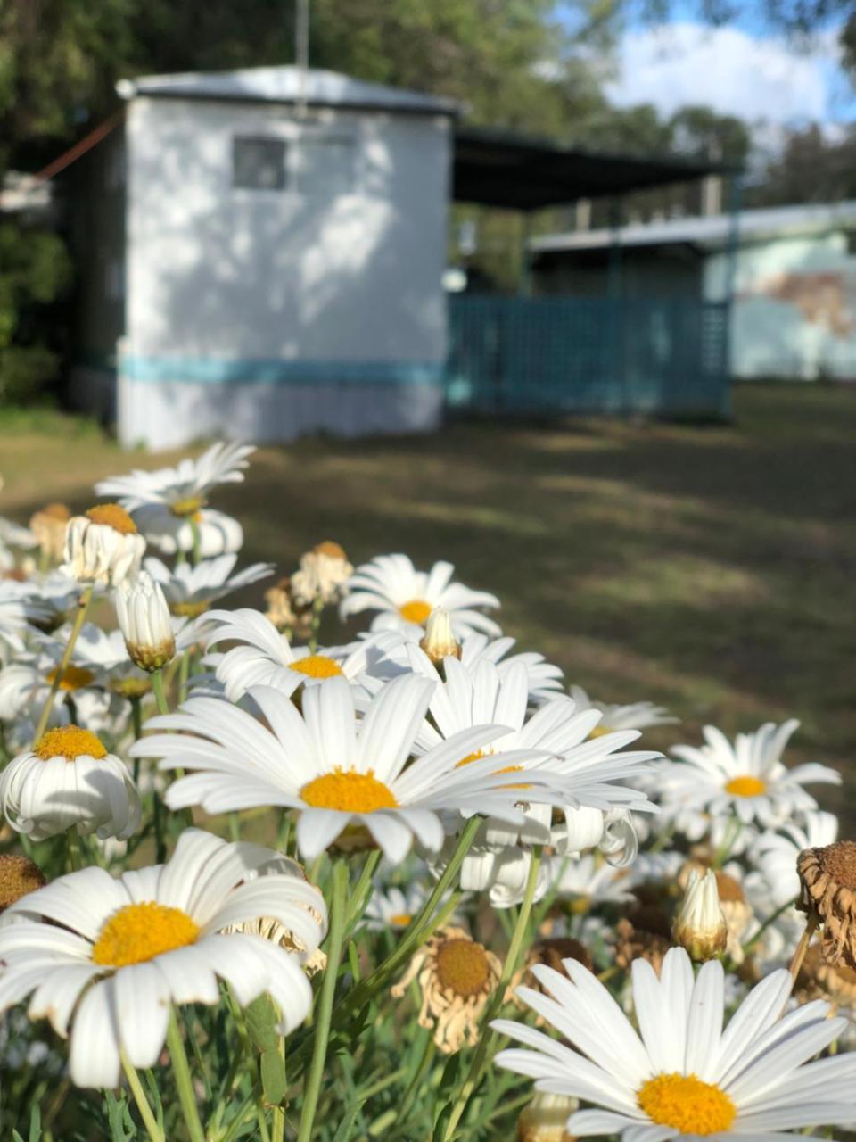 Lazy Days Caravan Park Vasse Eksteriør billede